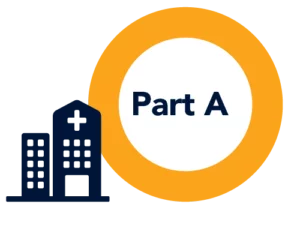 The Benefits of Working With a Medicare Agent